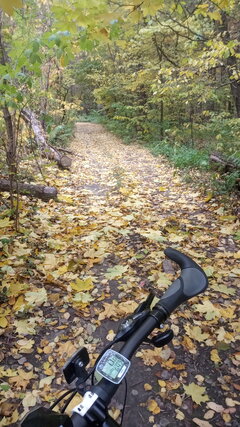 IMG-20211021-WA0001.jpeg
