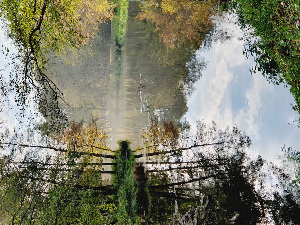 20211019_151631.jpg - manorhell