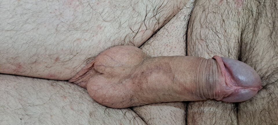 16364962691352189671572579693729.jpg - Kukuuuk