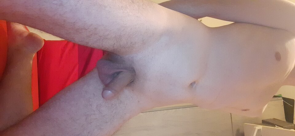 16365762829646455834965949104245.jpg - RelleK