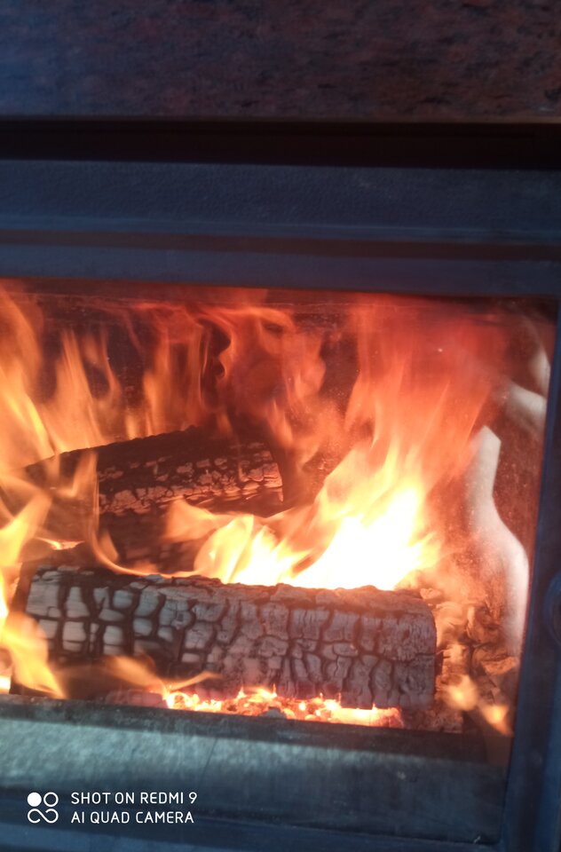 IMG_20211111_115602.jpg - TakJakLubieKotek