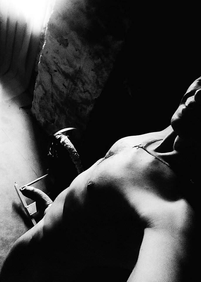 koń na biegunach.jpg - Weeds84