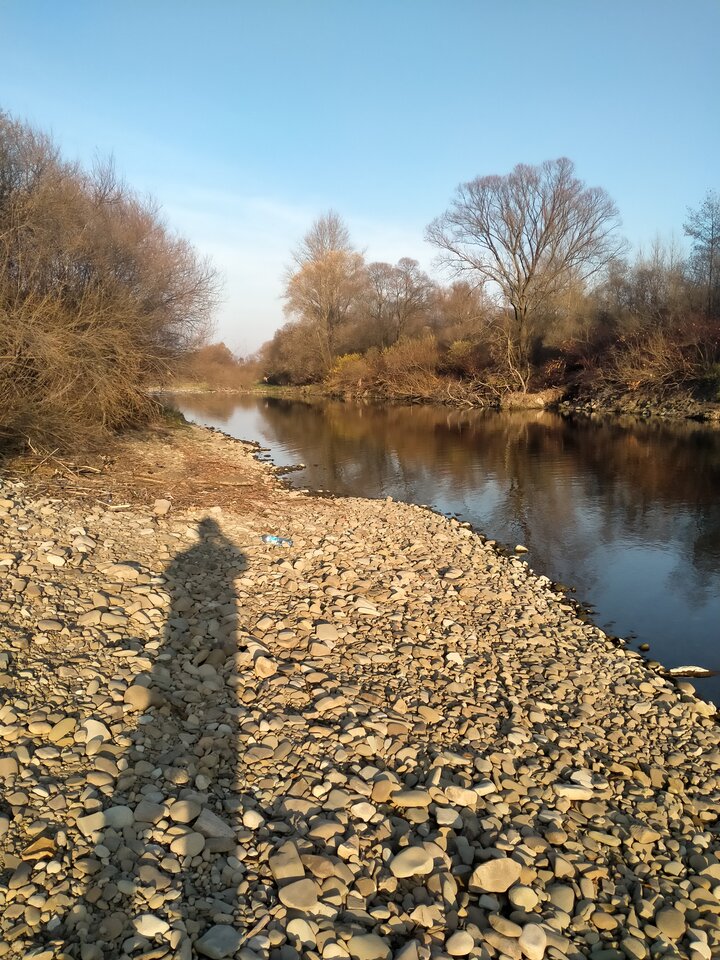 1636637944249986118658173449188.jpg - maniana35