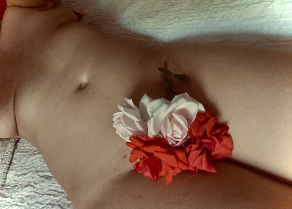 97D4AD79-010D-4C77-A12A-A66CE5B50C37.jpeg - Libertines_