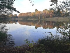 IMG_20211111_194353.jpg