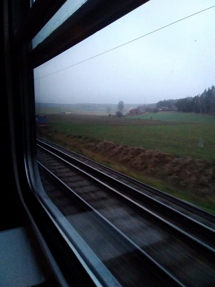 IMG_20211112_065019.jpg - Krzysztof061985