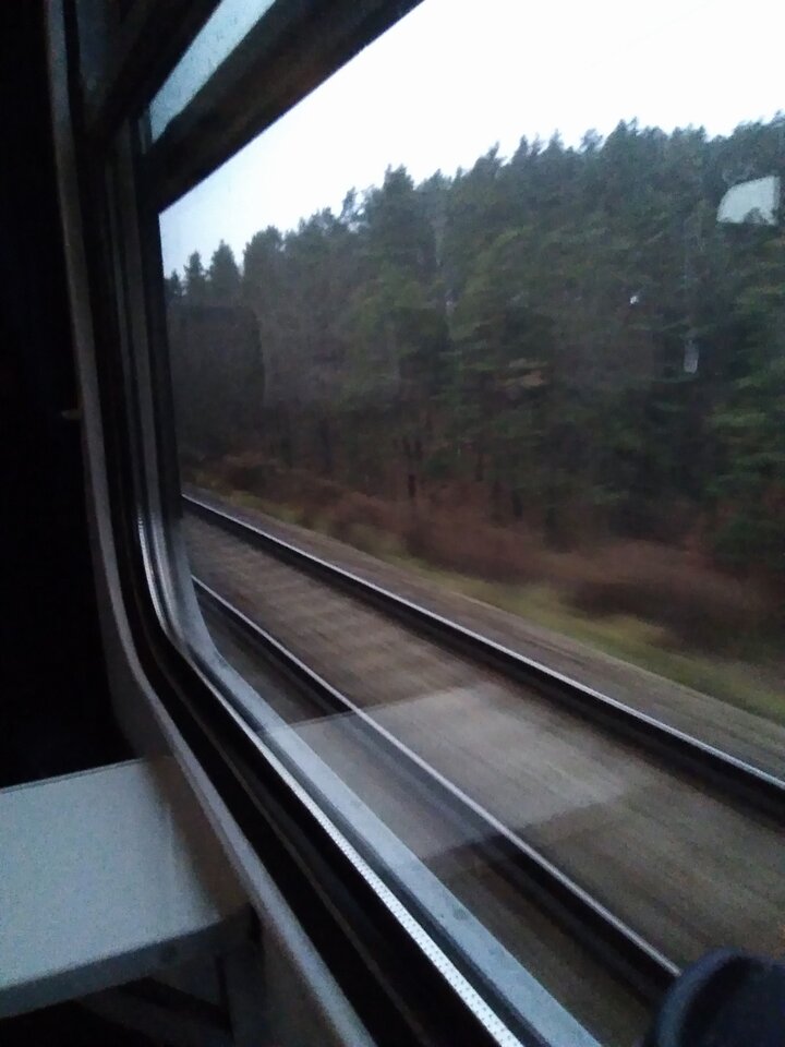 IMG_20211112_064937.jpg - Krzysztof061985