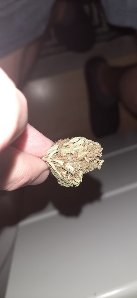 20211112_195939.jpg - Matisek25