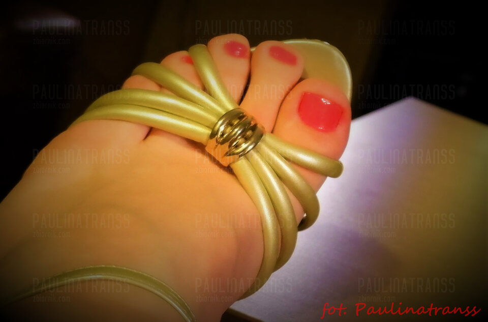 DSCF1848.JPG - paulinatranss