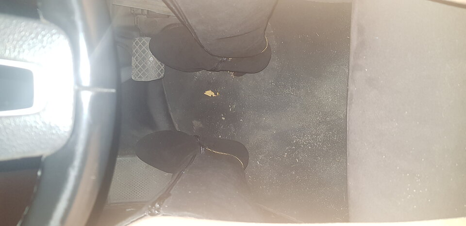 20211113_180459.jpg - paulinatrans1