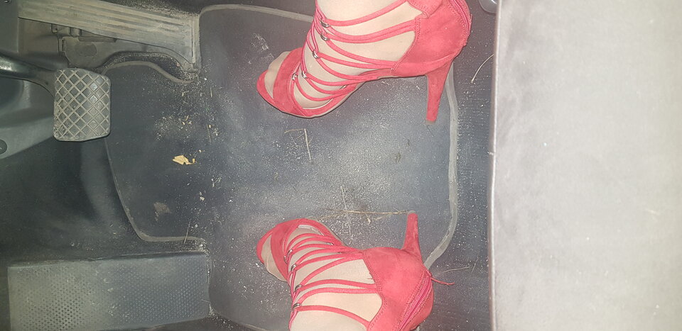 20211113_183305.jpg - paulinatrans1