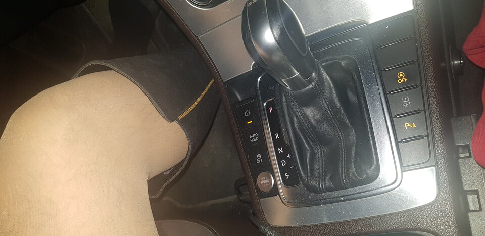 20211113_180444.jpg - paulinatrans1