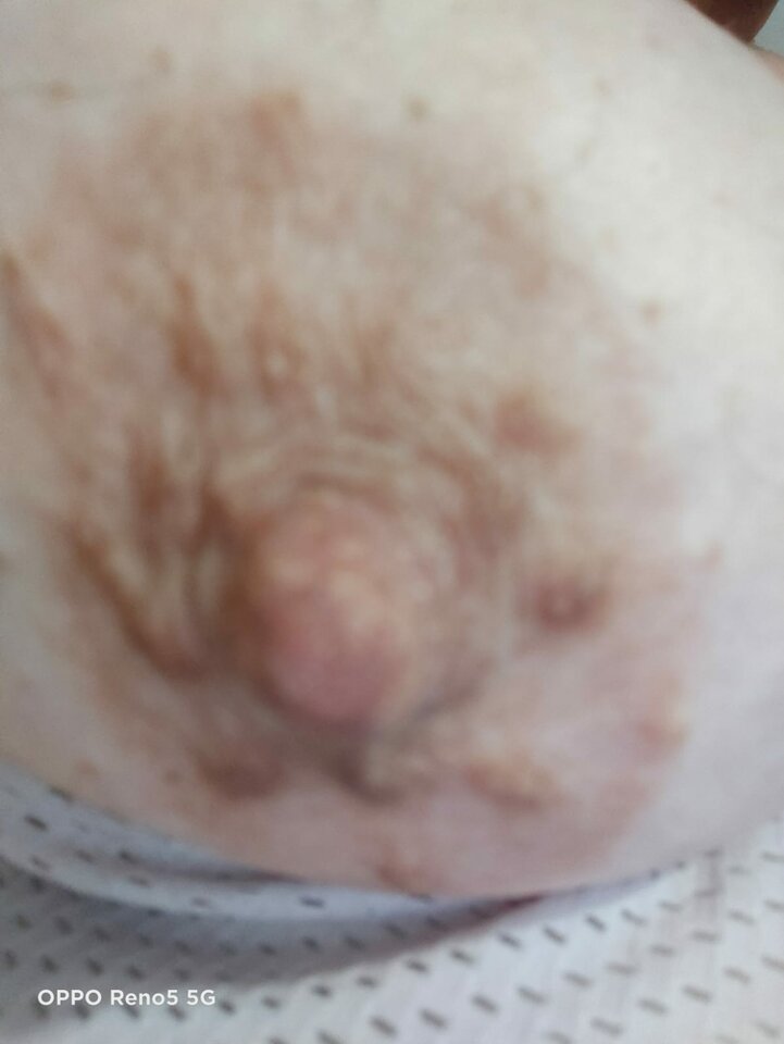 IMG-20211113-WA0012.jpg - Nikifor1234