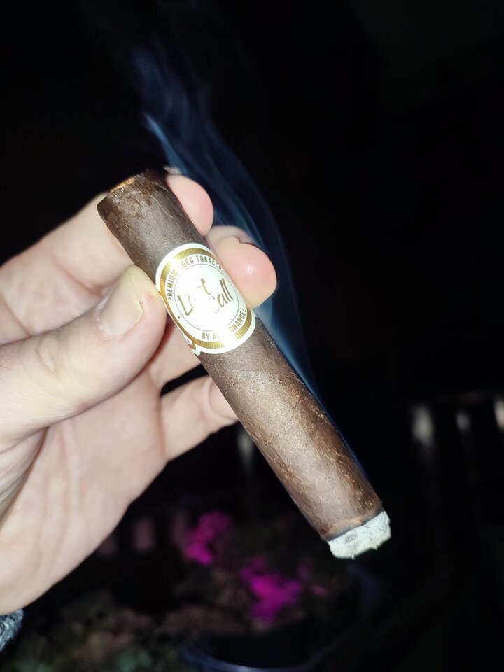 IMG_20211114_031857.jpg - domin76