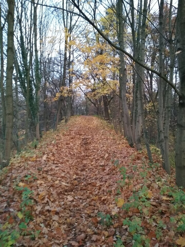 Mała podpowiedź: Górka na .... - Jorguu
