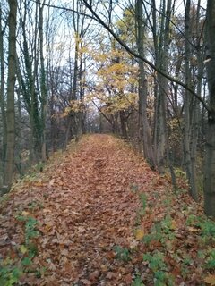 Mała podpowiedź: Górka na ....
