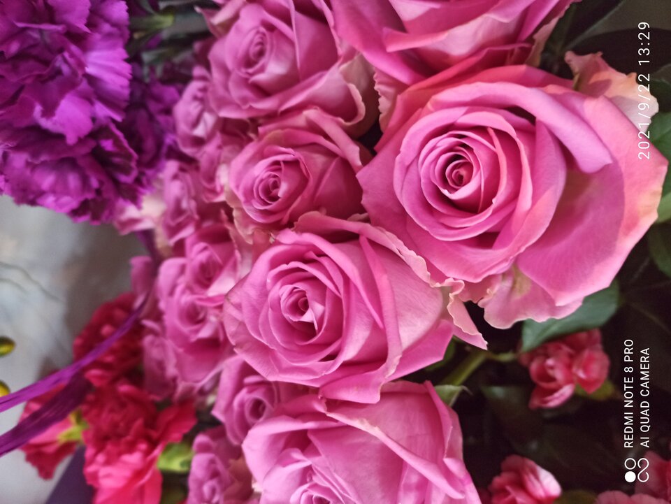 IMG_20210922_132928.jpg - Nold24