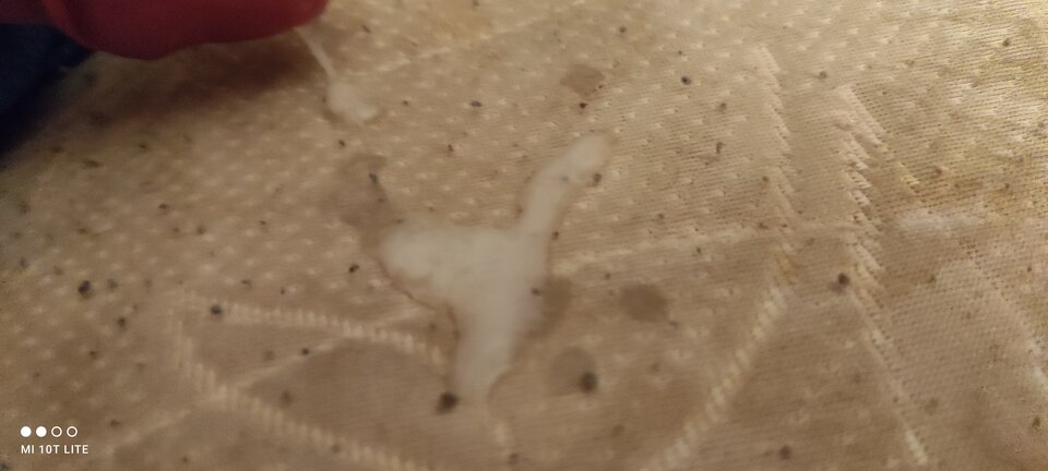 IMG_20211115_184245.jpg - cinek994