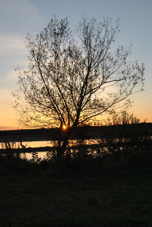 file519.JPG - uhtred