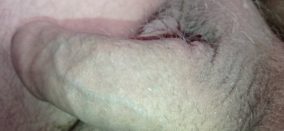 IMG_20211116_134848.jpg - dupekalex