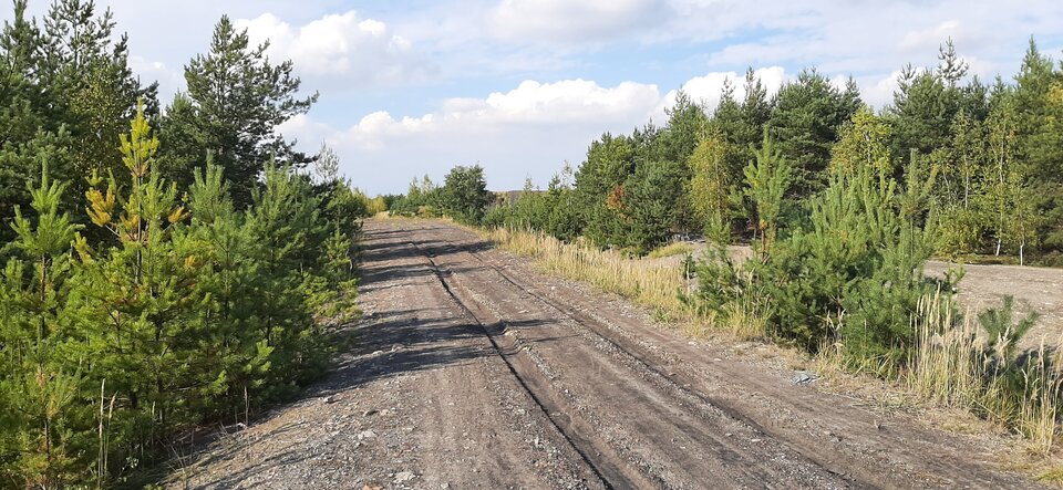 20210926_152614.jpg - SlaskiOn