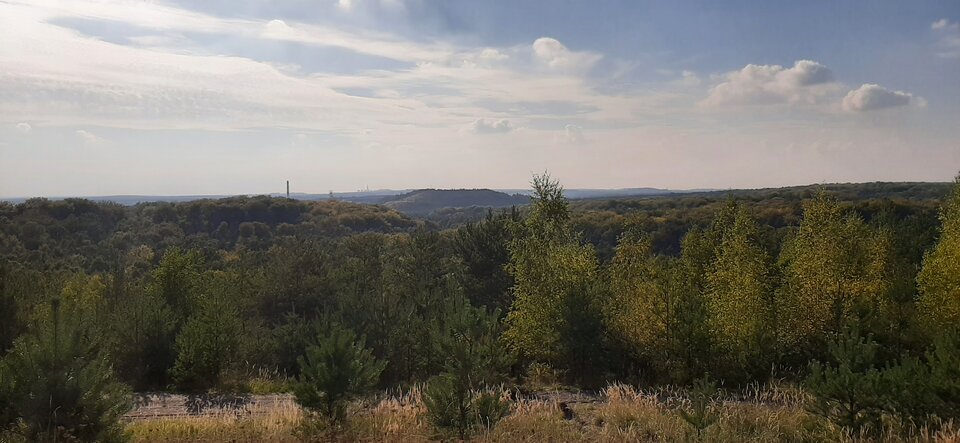 20210926_152800.jpg - SlaskiOn