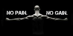 no-pain-no-gain.jpg