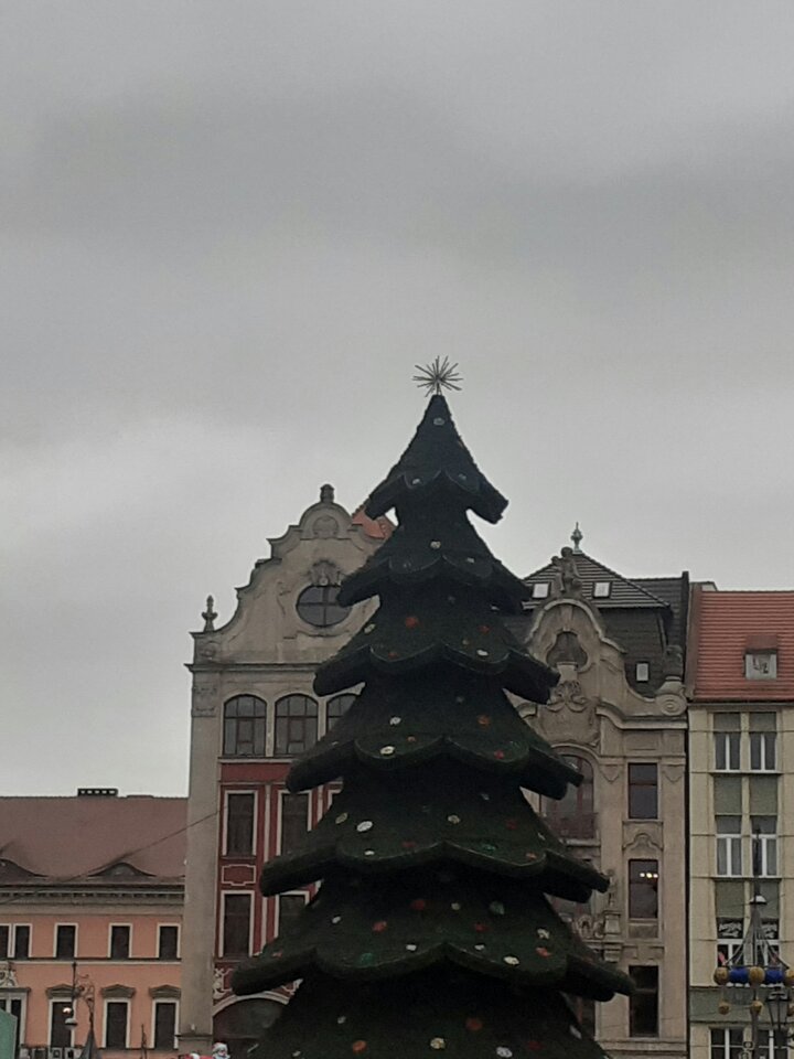 Choinki już stoją  - 19slaw79