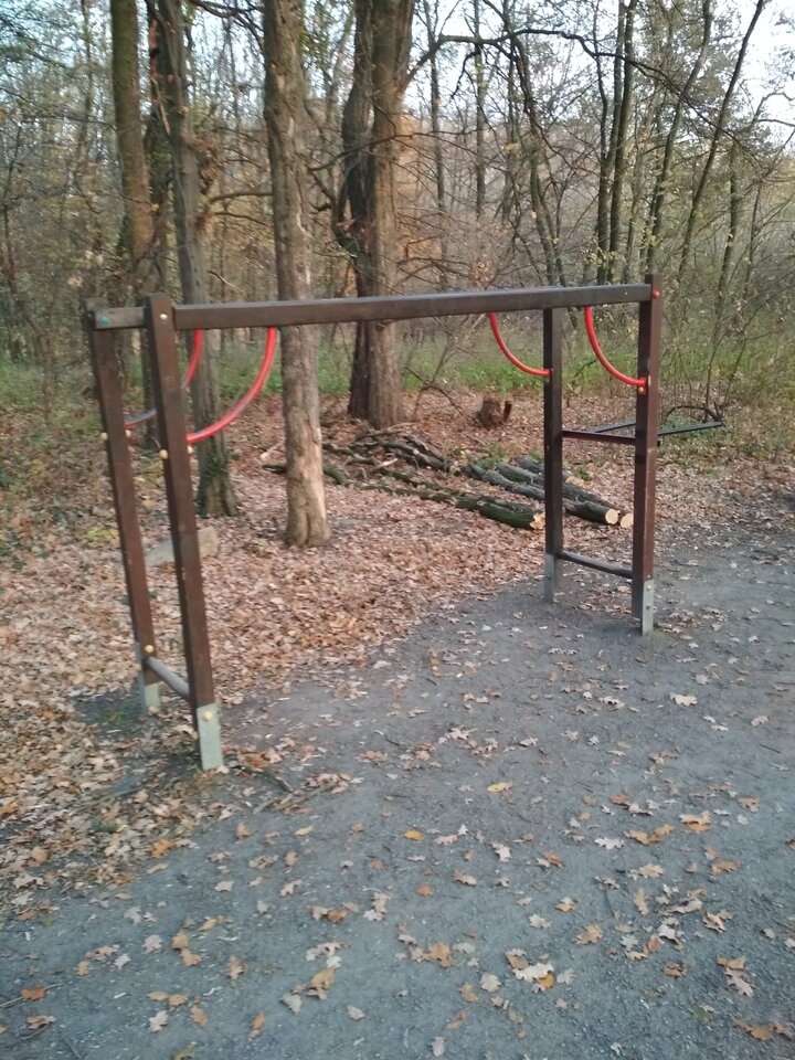 IMG_20211113_154740.jpg - Jorguu