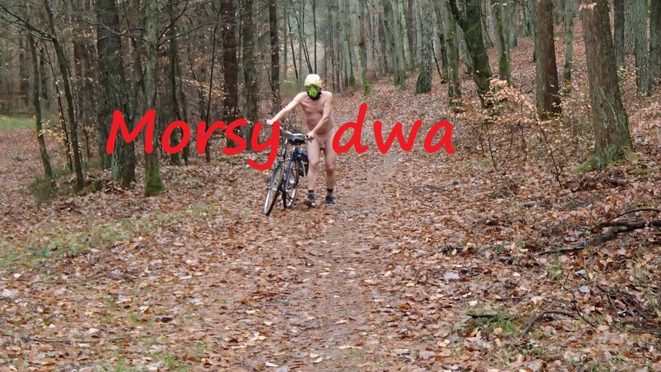 Jesienny plener. - Morsy_dwa