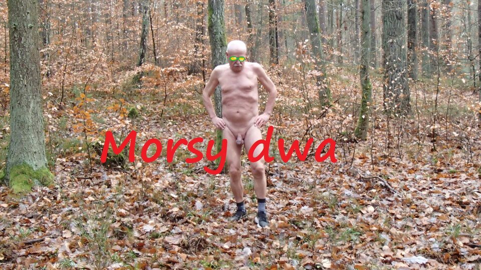 Jesienny plener. - Morsy_dwa