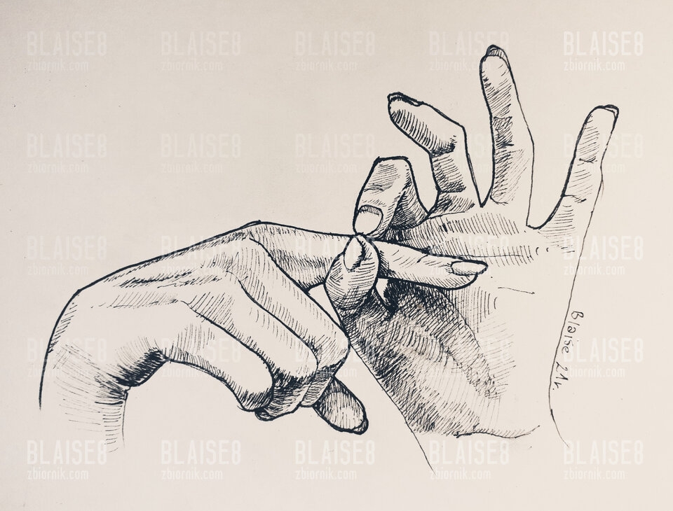 Art. No. 115 - blaise8