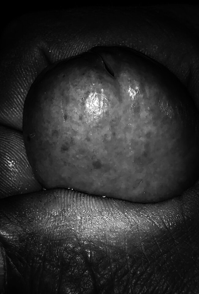 PSX_20211119_221643.jpg - Chagal69