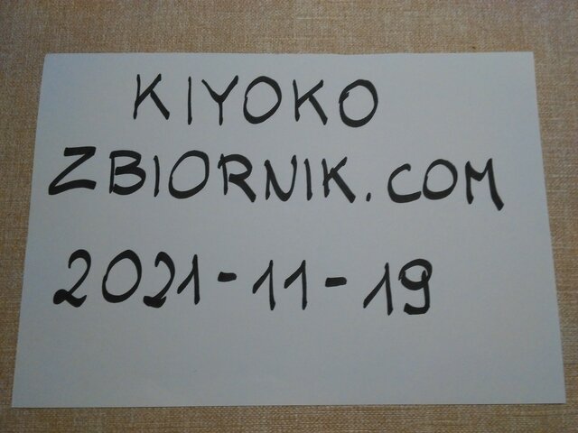 Kiyoko