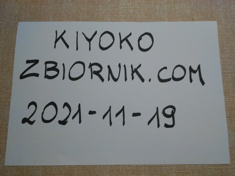 IMG_20211119_224354.jpg - Kiyoko