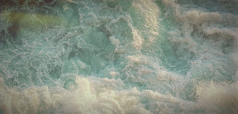 20.11 dzień dobry - rex123