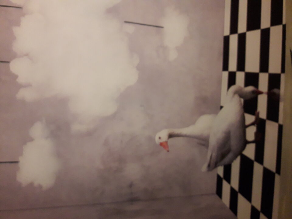 20211119_153342.jpg - gutek1234