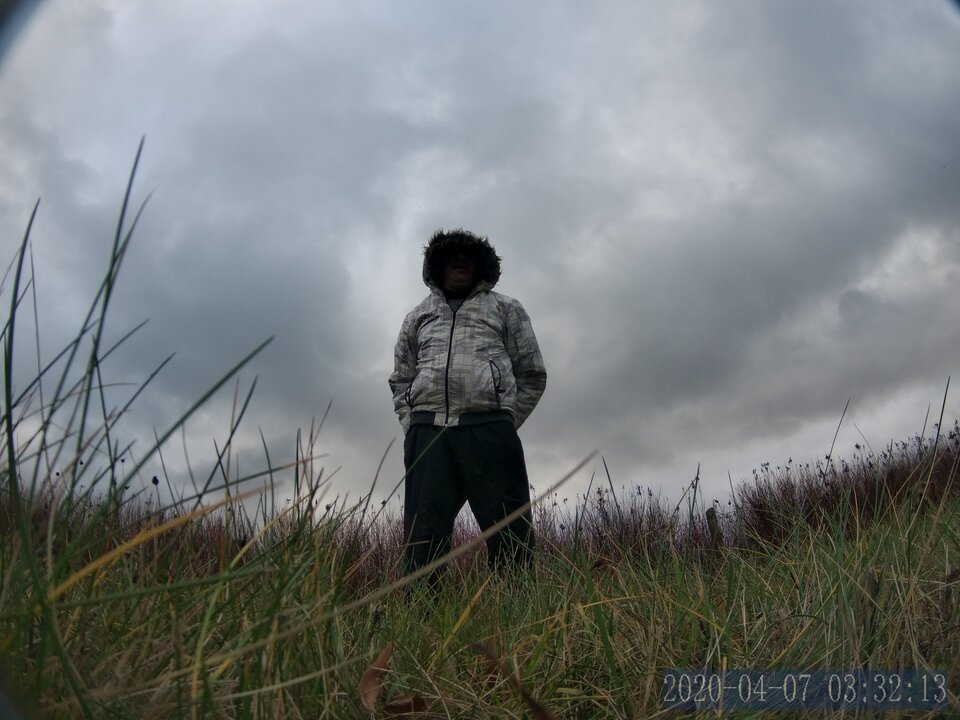 DLAY0329.JPG - bojman8