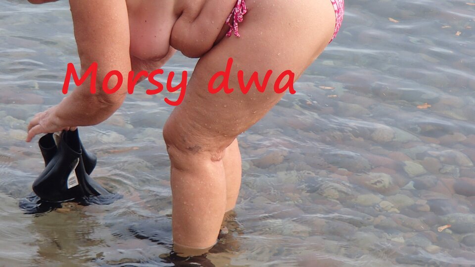 Oksywie 20 11 21 - Morsy_dwa