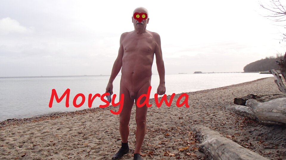 Oksywie 20 11 21 - Morsy_dwa