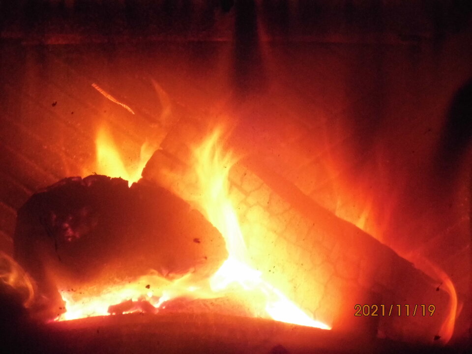 IMG_9111.JPG - ona82on78x