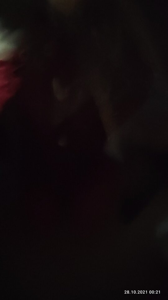 IMG_20211028_002143.jpg - juliadada