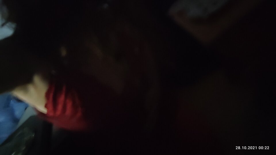 IMG_20211028_002235.jpg - juliadada