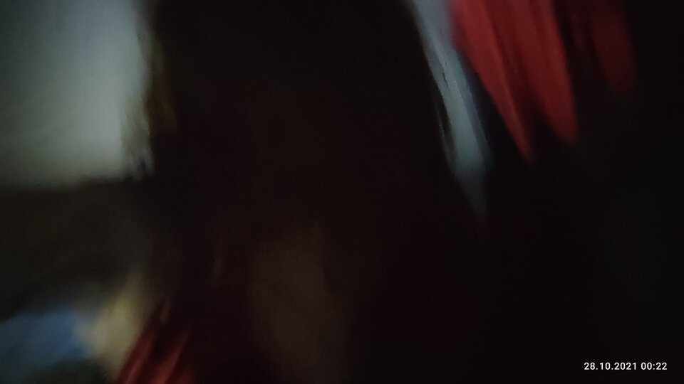 IMG_20211028_002234.jpg - juliadada