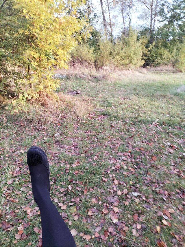 bibisuczka