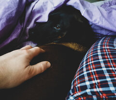 Się przyplątał 😶