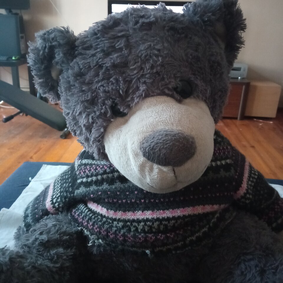 To co z tymi miśkami? - Bezboznick