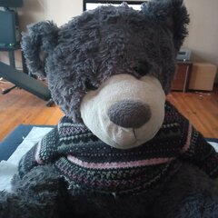 To co z tymi miśkami?