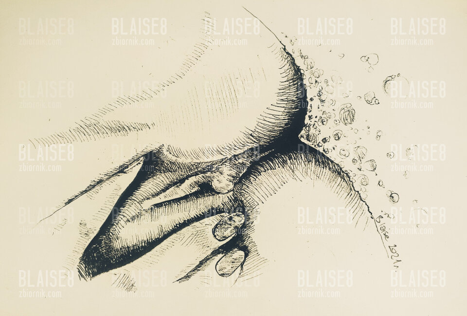 Art. No. 116 - blaise8