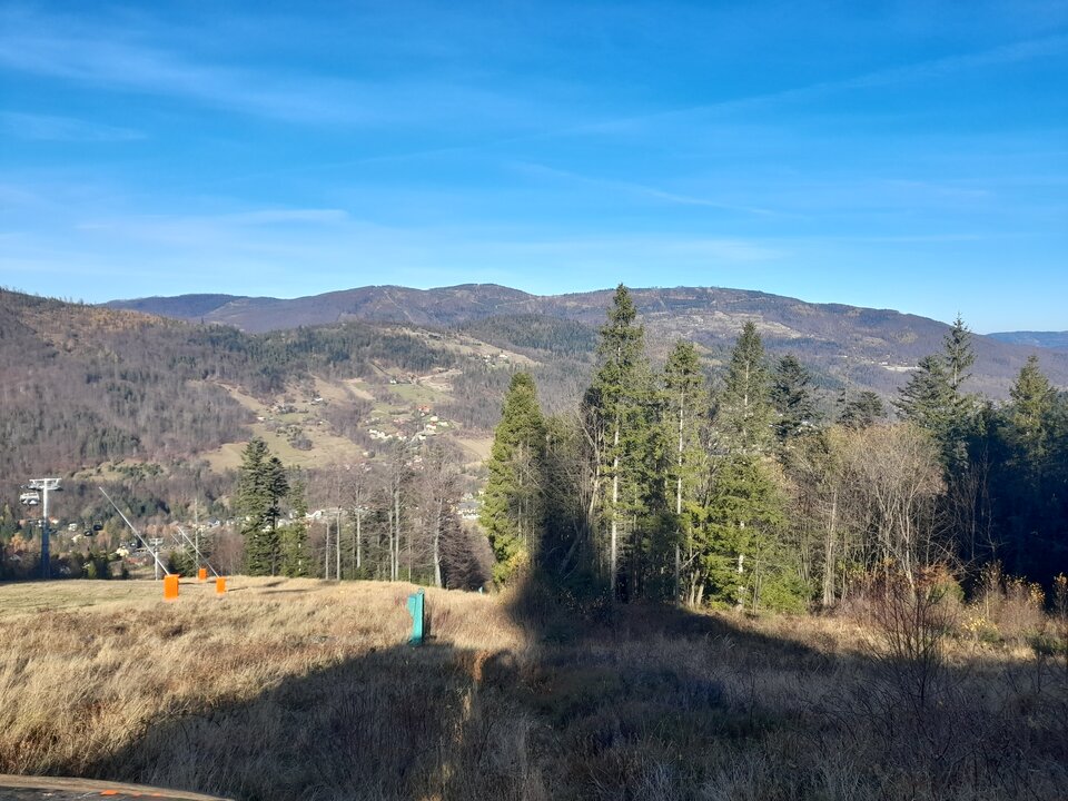 20211110_112957.jpg - Ambrozja2